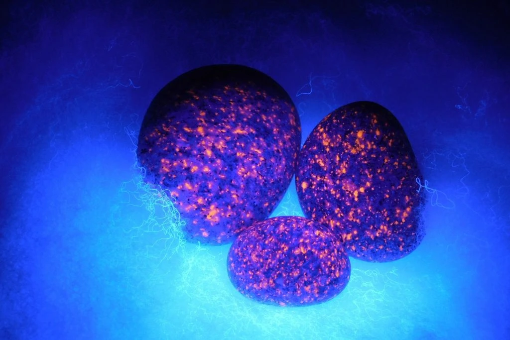 Glowing Yooperlite under UV light
