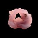 Pink Chalcedony vs. Rose Quartz