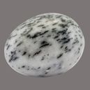 Zebra Jasper vs. Dalmatian Jasper