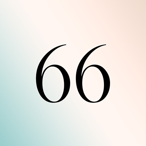 66