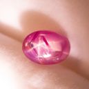 Chiastolite vs. Star Ruby