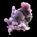 Copal vs. Grape Agate