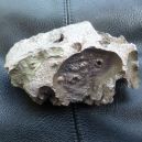 Meteorite vs. Pyrite