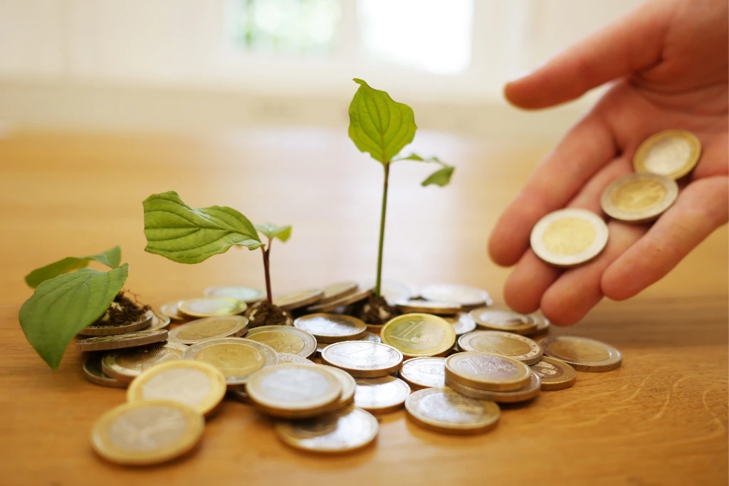 a hand stacking coins at the base of seedlings