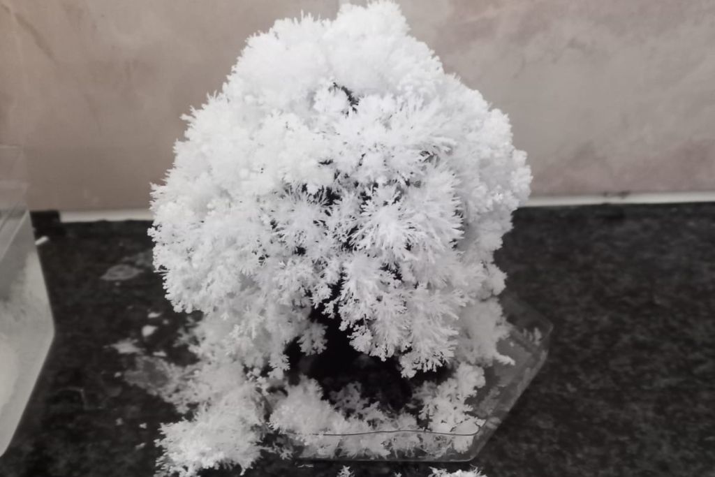 A Crystal Snow Tree