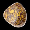 Calligraphy Jasper vs. Bumblebee Jasper