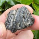 Darwin Glass vs. Obsidian