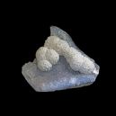Gyrolite vs. Prehnite