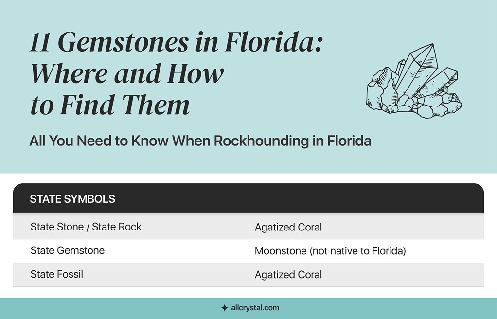 graphic table about state symbol of Florida