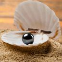 Owyhee Opal vs. Black Pearl