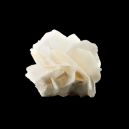 Ankerite vs. Calcite