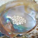 Keshi Pearl vs. Moonstone