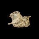 Yeomanite vs. Palygorskite