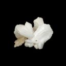 Stilbite vs. Apophyllite