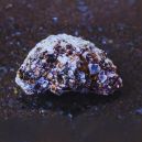 Phlogopite vs. Hematite
