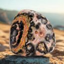 Leopard Jasper vs. Moonstone