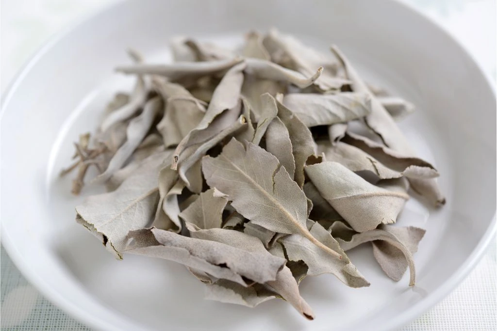 dried white sage leaves in a white plate