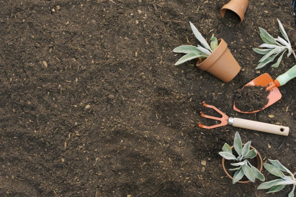 pots, plants and gardening tools on a soil bed