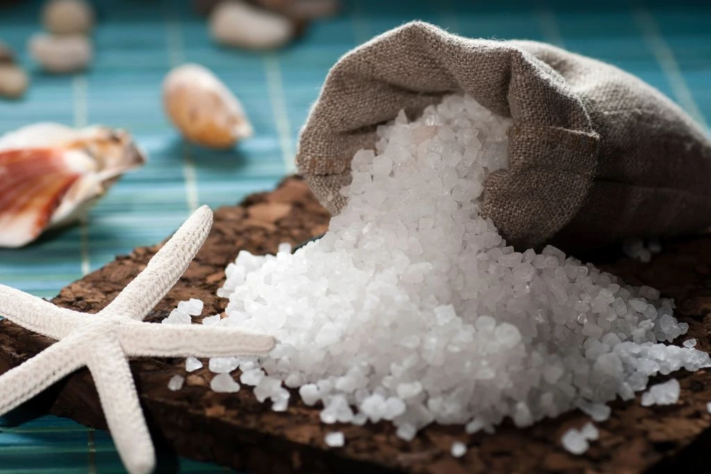 bag of rock salt together with sea shell and dried star fish