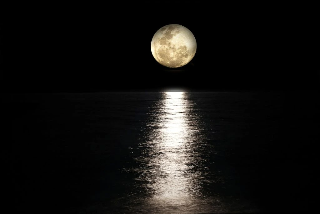 moonlight reflection on water