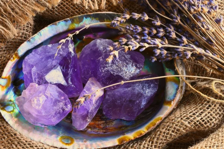 Amethyst Crystals are placed on an Abalone Shell that surrounded by a brown net with violet dry flowers on the upper right