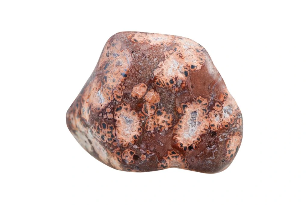 leopardskin jasper on white background