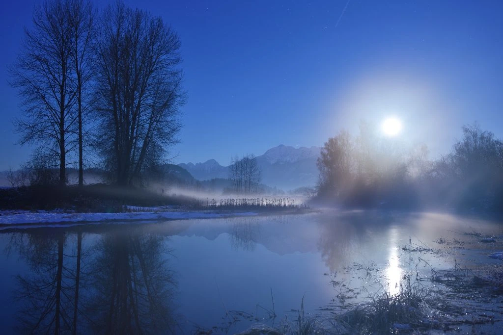 The moonlight shines over the trees to the body of water