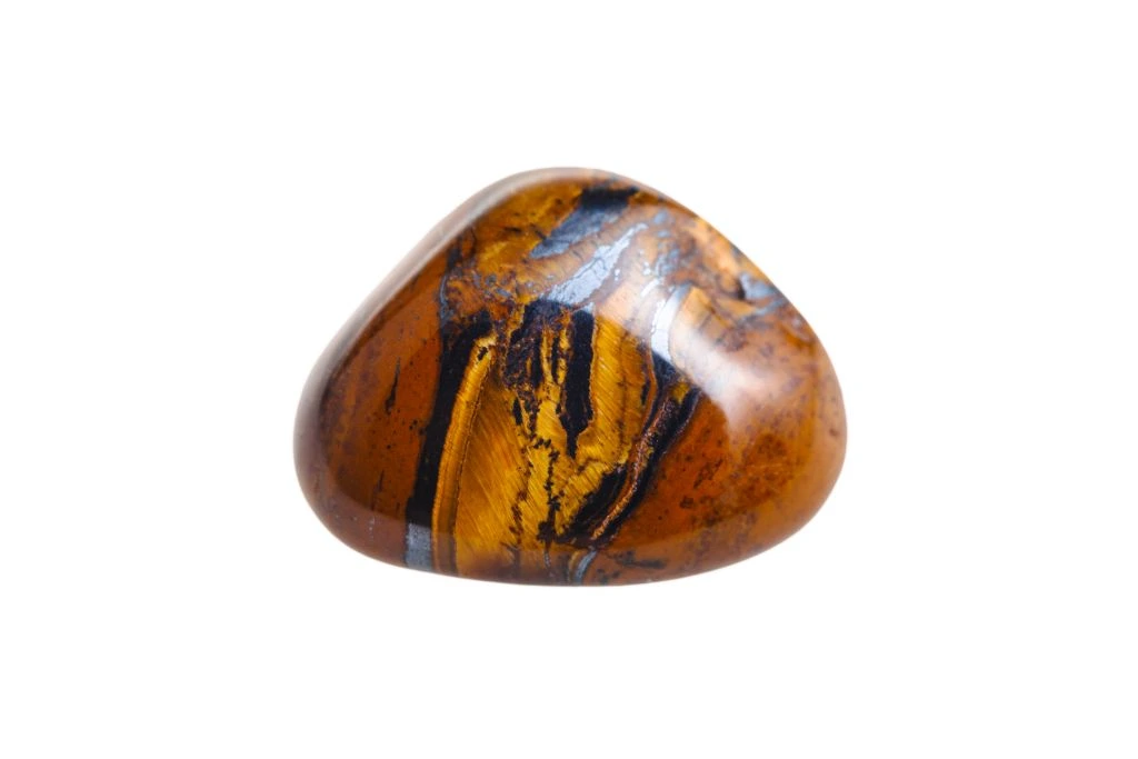 tiger's eye on white background