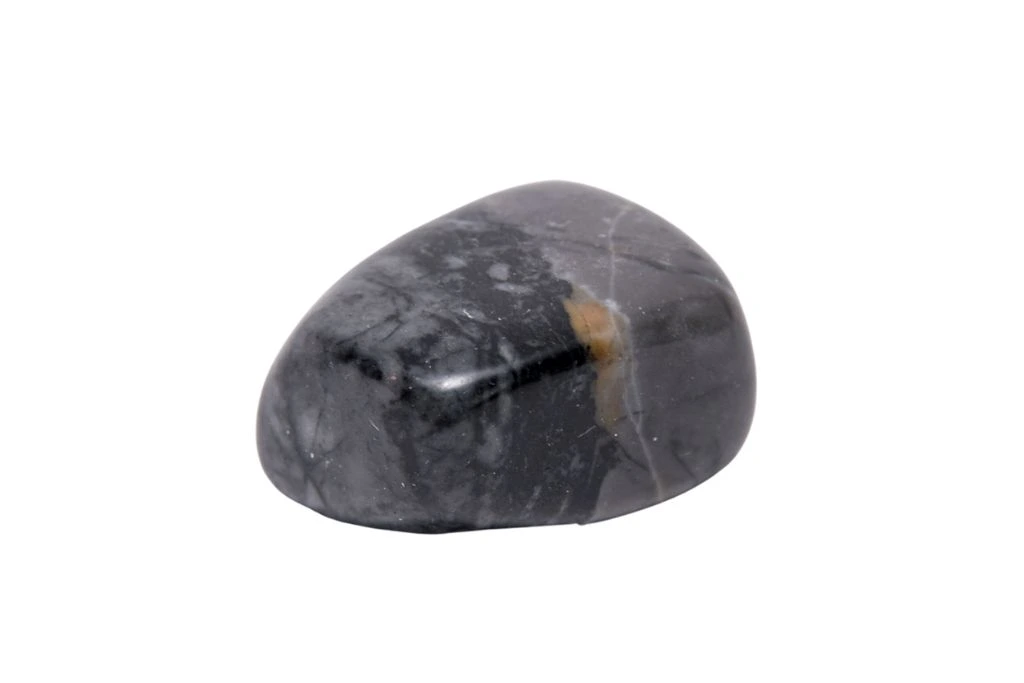 polished Picasso Jasper on white background