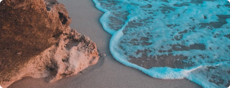 A rock on the sand near the shore