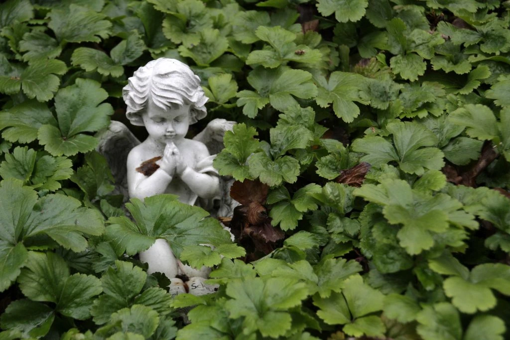 An angel statue in nature