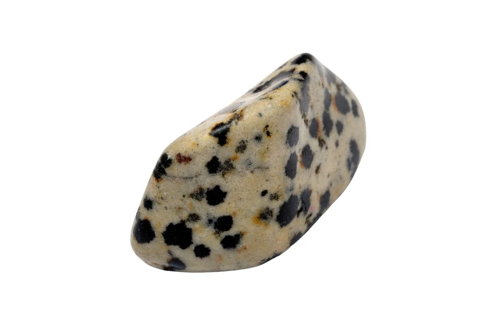 dalmatian jasper on white background