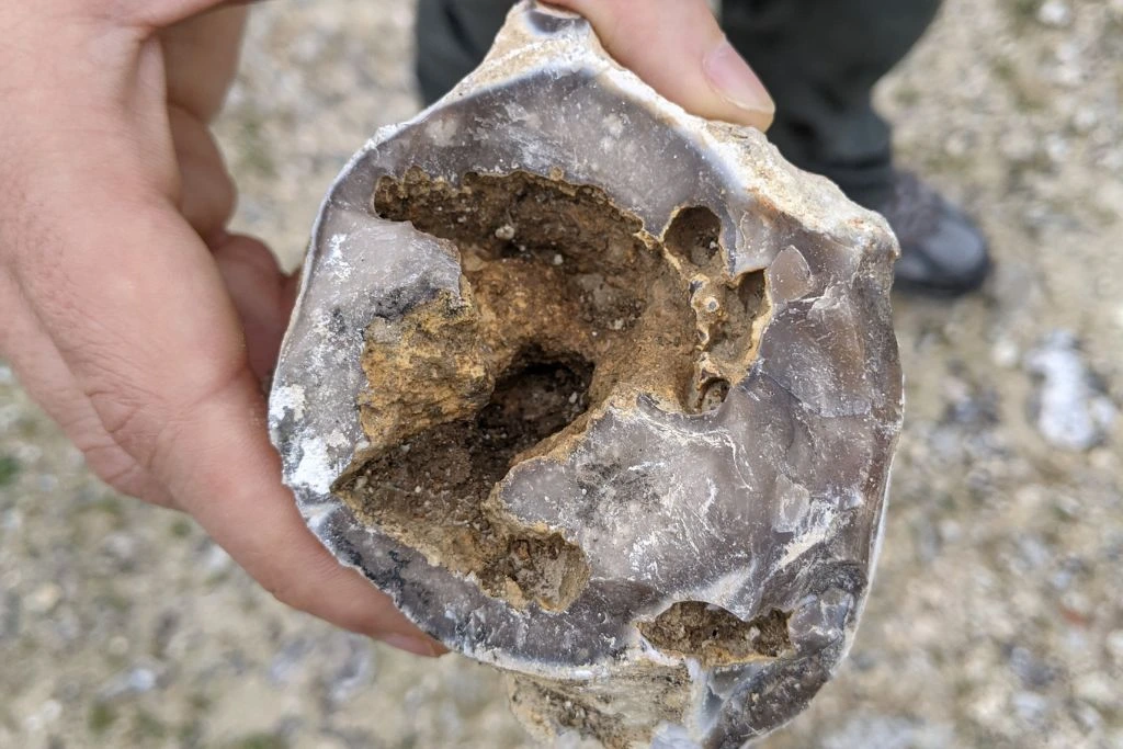 A person holding a geode