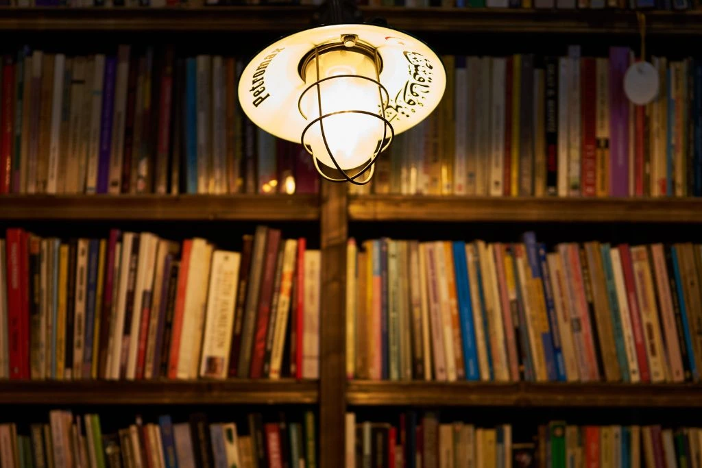 A lightbulb turned on beside on the shelves of the book