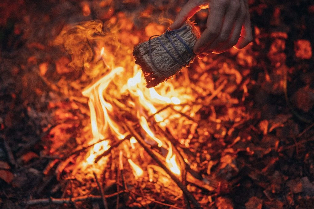 A person holding a sage above the fire