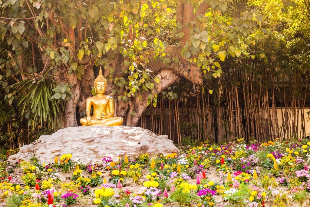 A golden buddha sitting on a rock in nature