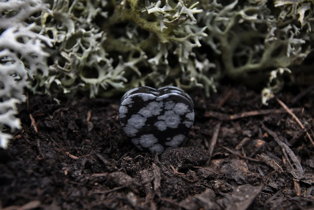 A heart shape snowflake obsidian on the soil