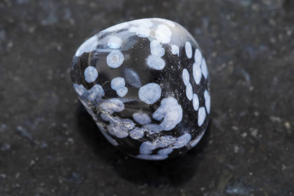 A snowflake obsidian on a black background