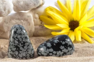 A snowflake obsidian on the sand with a sunflower and rocks in the background
