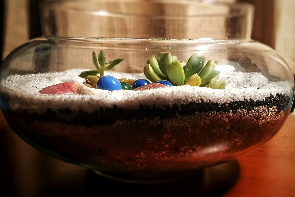 A terrarium on the table that has crystals inside.