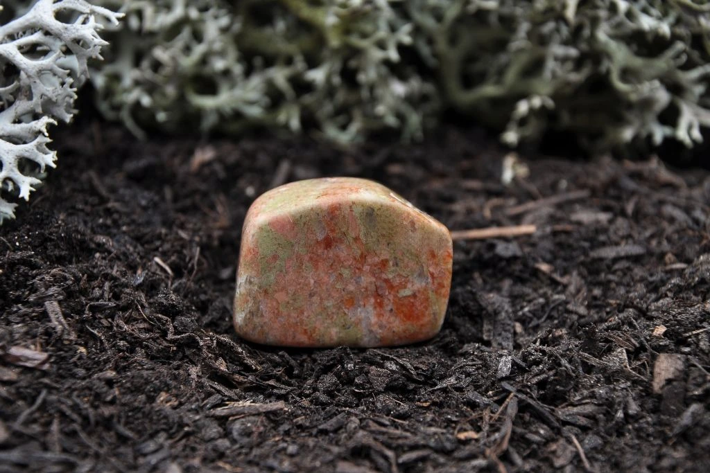 A polished unakite on the soil