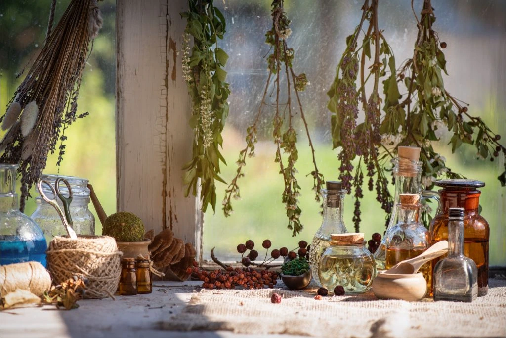 bottles and jars with dried leaves on a window sill