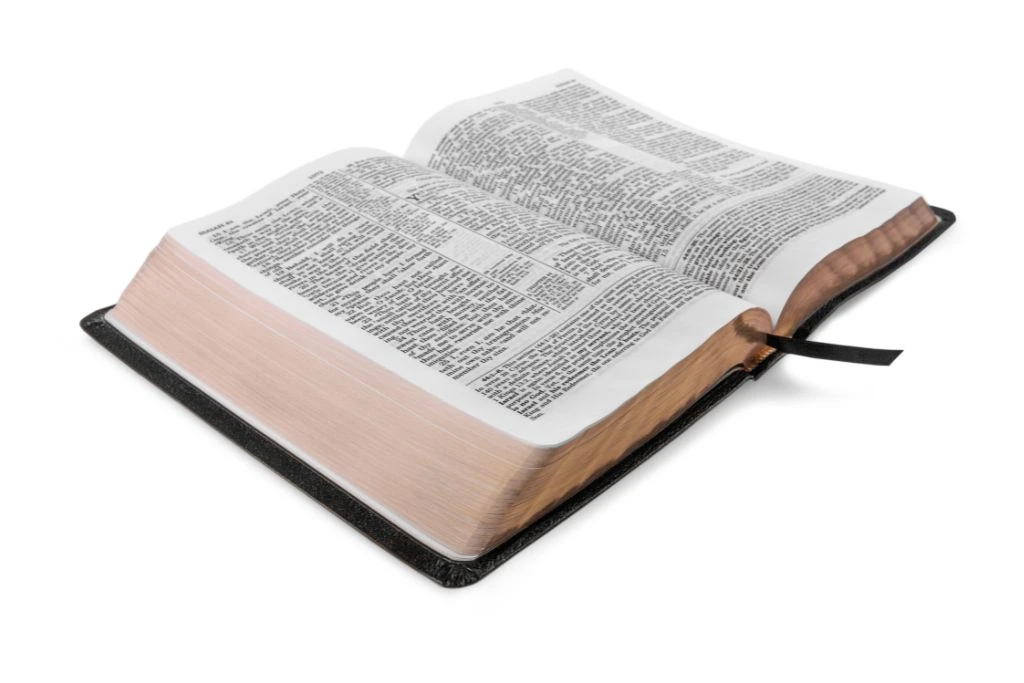 bible on a white background