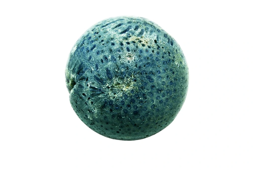 blue coral bead on white background