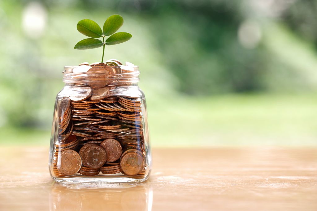 A plant growing on the coins