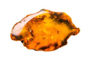 Amber crystal on a white background