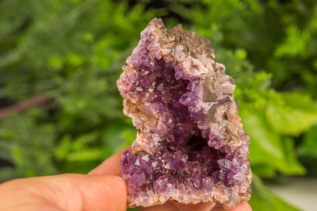 A hand holding Amethyst Geode with nature as a background