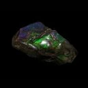 Ammolite on a black background