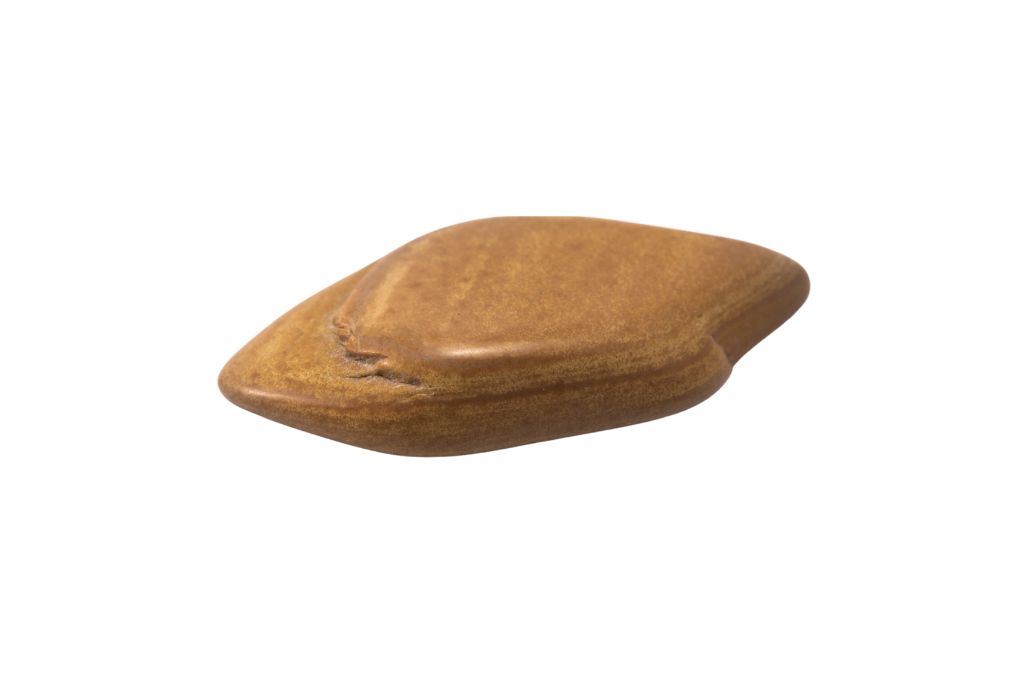 Brown Jasper on a white background