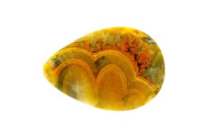 Bumblebee Jasper on a white background